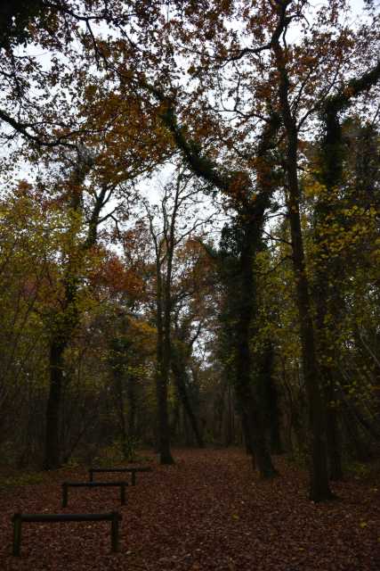 DSC_4969.JPG