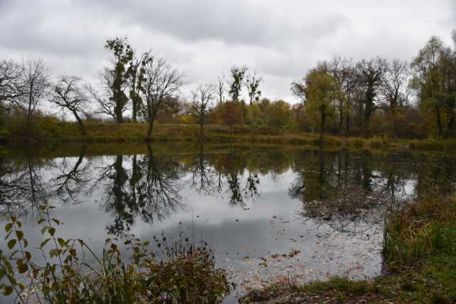 DSC_4970.JPG