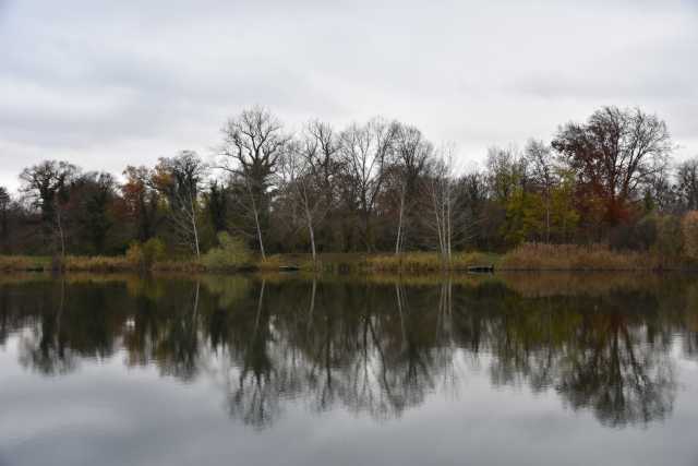 DSC_4983.JPG