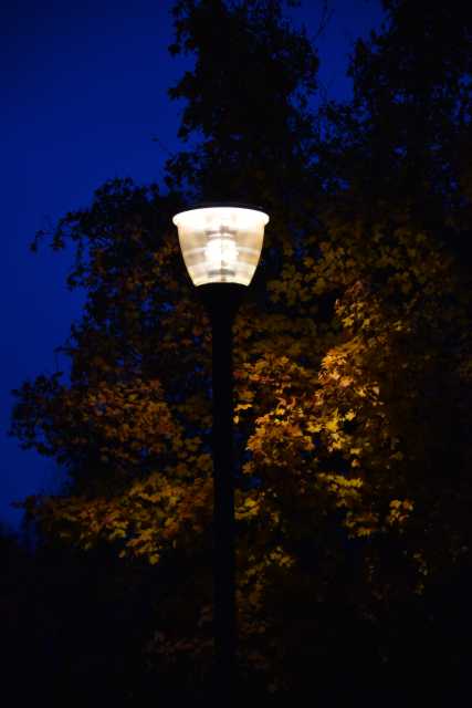 DSC_4987.JPG