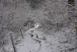 DSC_5147.JPG