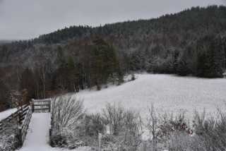 DSC_5150.JPG