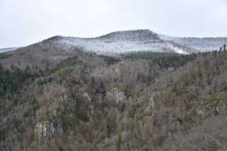 DSC_5175.JPG