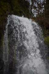 DSC_5198.JPG