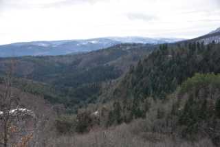 DSC_5215.JPG