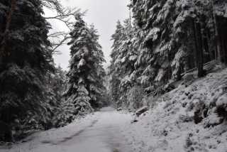 DSC_5226.JPG