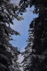 DSC_5241.JPG