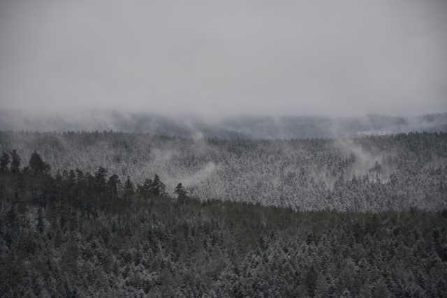 DSC_5132.JPG