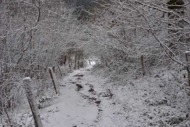 DSC_5147.JPG
