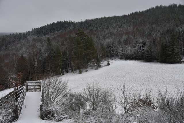 DSC_5150.JPG