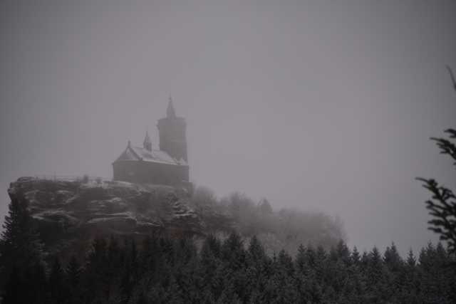 DSC_5157.JPG