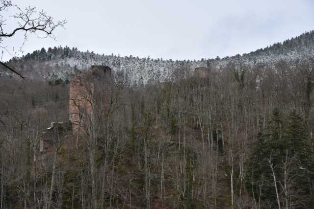 DSC_5173.JPG