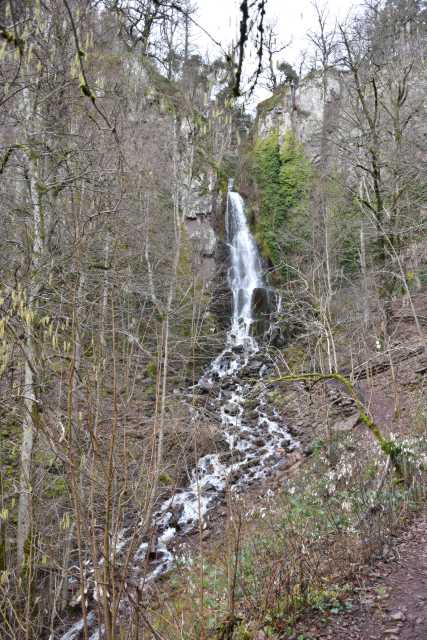 DSC_5188.JPG