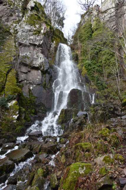 DSC_5196.JPG