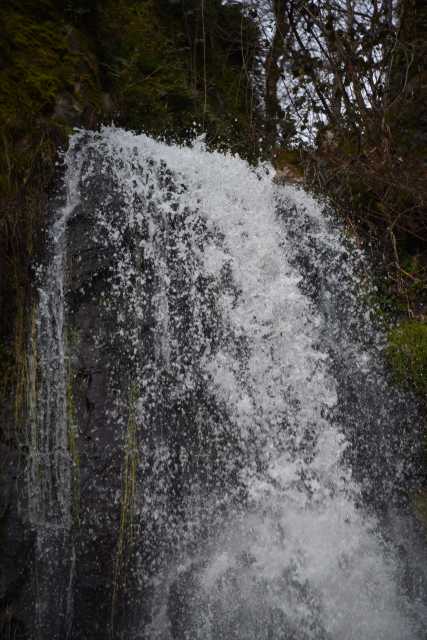 DSC_5198.JPG