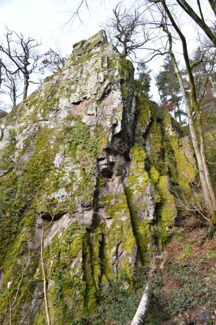 DSC_5208.JPG