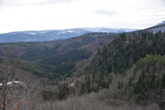 DSC_5215.JPG