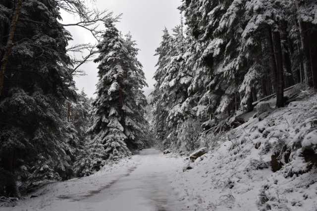 DSC_5226.JPG