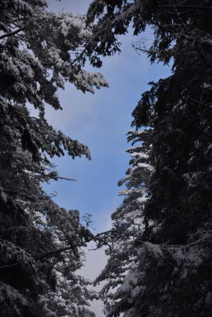 DSC_5241.JPG