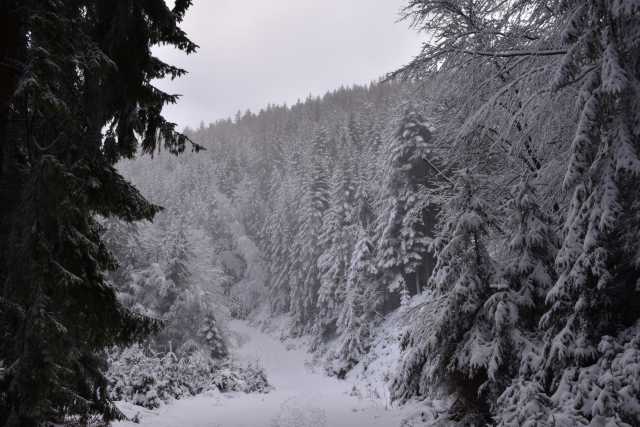 DSC_5243.JPG