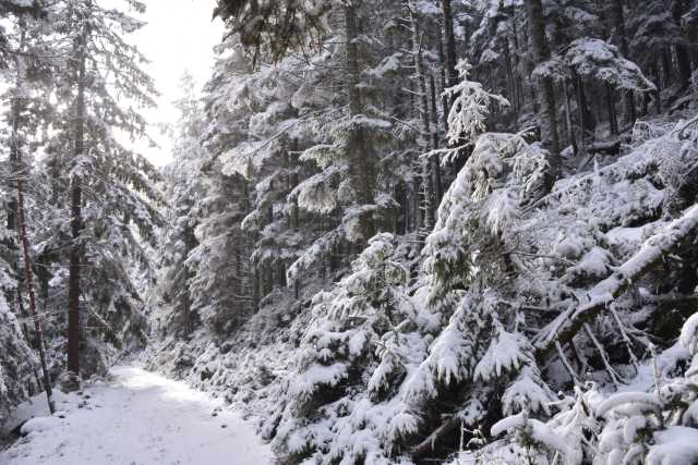 DSC_5244.JPG