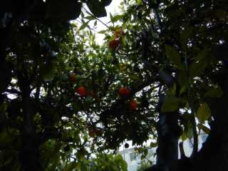 DSCN5060.JPG