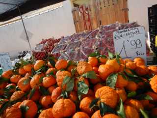 DSCN5078.JPG