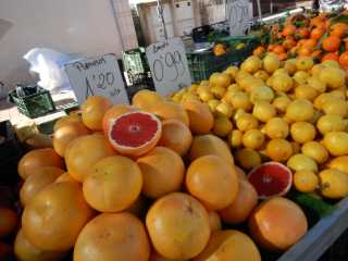 DSCN5079.JPG