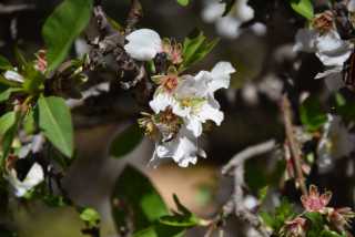 DSC_5259.JPG