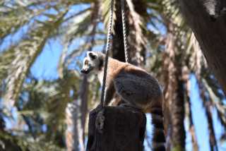 DSC_5281.JPG