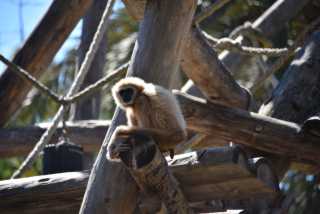 DSC_5312.JPG