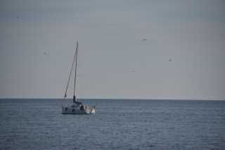 DSC_5597.JPG