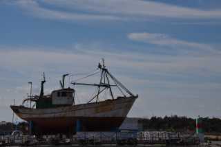 DSC_5730.JPG