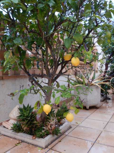DSCN5054.JPG