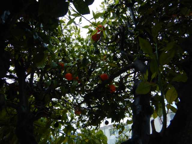 DSCN5060.JPG