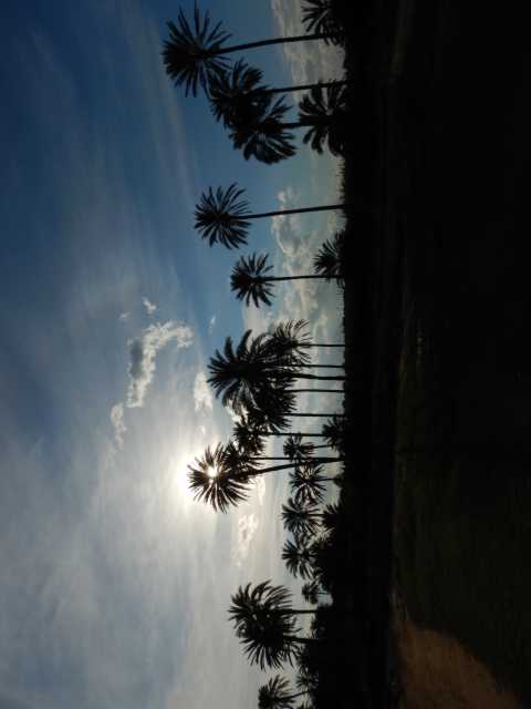 DSCN5071.JPG