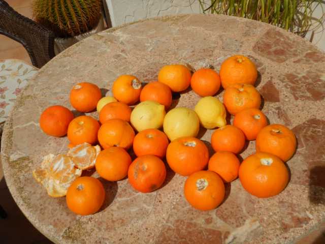 DSCN5081.JPG