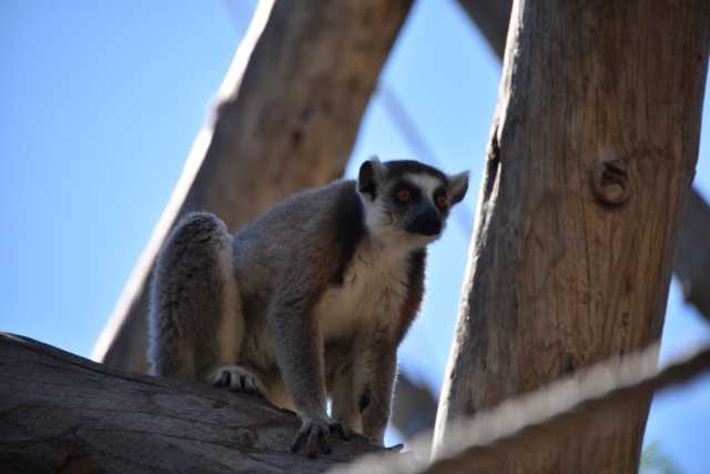 DSC_5294.JPG