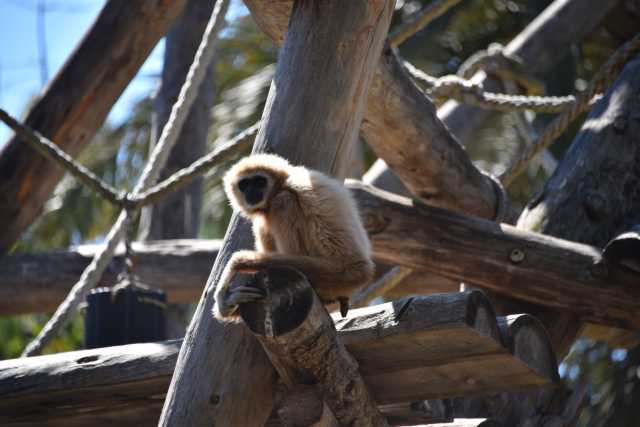 DSC_5312.JPG