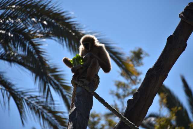 DSC_5351.JPG