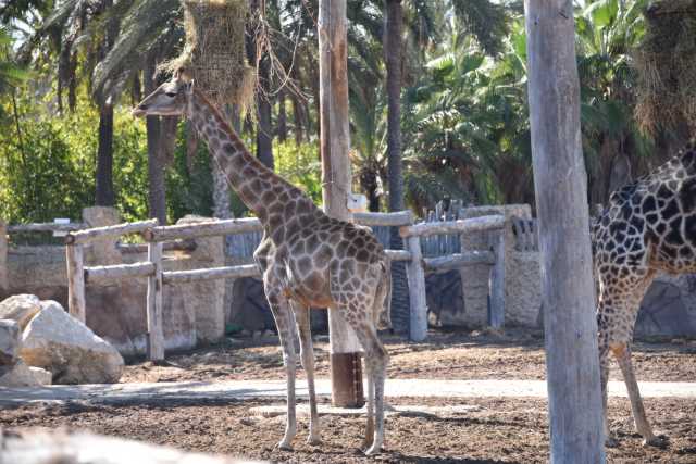 DSC_5446.JPG