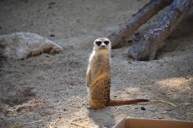 DSC_5491.JPG