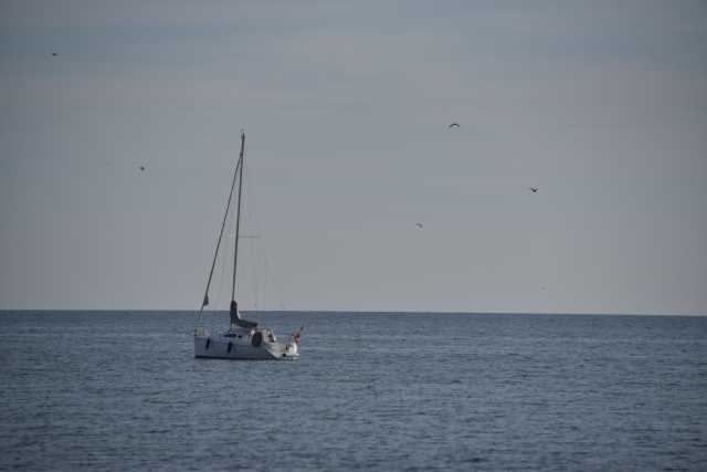 DSC_5597.JPG