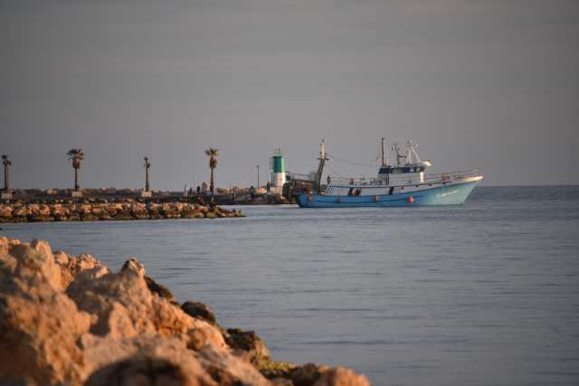 DSC_5644.JPG