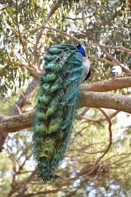 DSC_5691.JPG