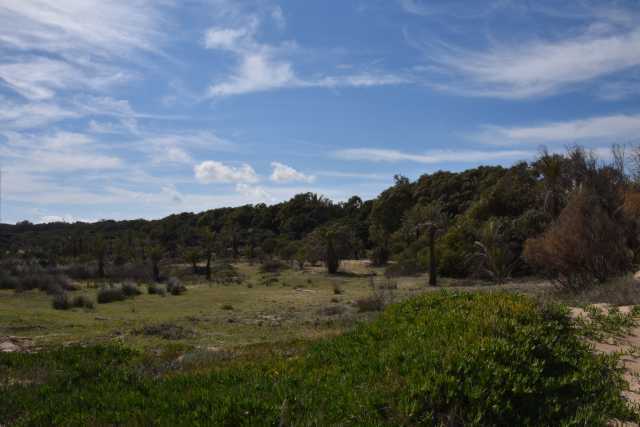 DSC_5696.JPG