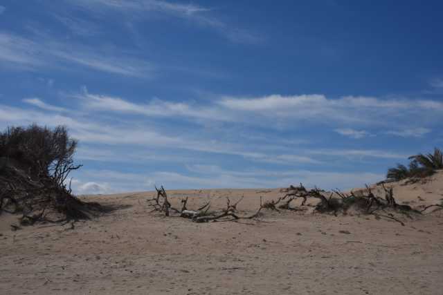 DSC_5712.JPG
