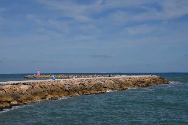 DSC_5728.JPG