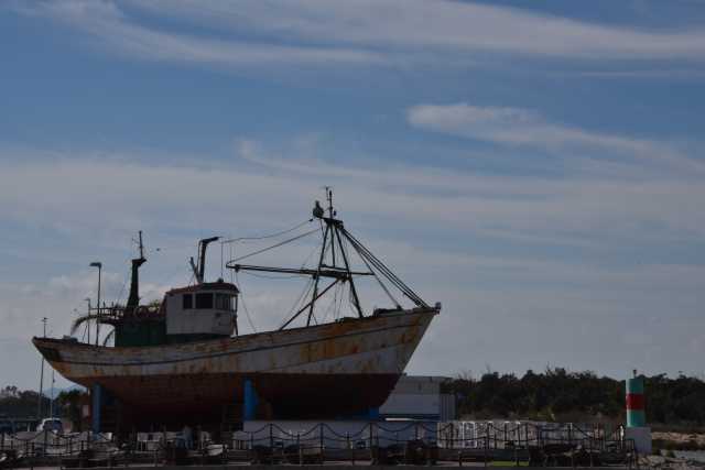 DSC_5730.JPG