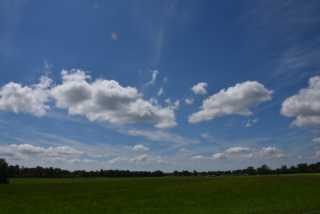 DSC_6160.JPG